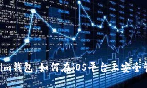 探索TokenTokenim钱包：如何在iOS平台上安全管理你的数字资产