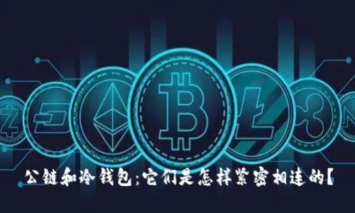 公链和冷钱包：它们是怎样紧密相连的？
