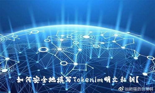 如何安全地填写Tokenim明文私钥？