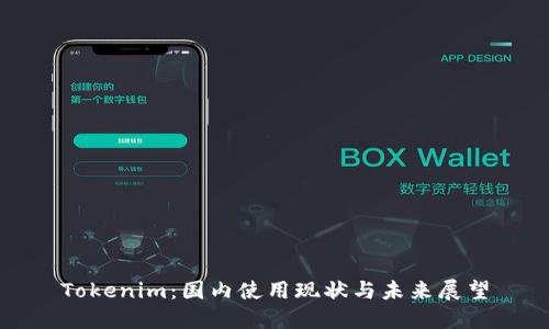 Tokenim：国内使用现状与未来展望