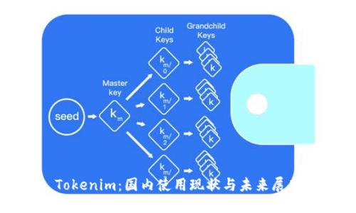 Tokenim：国内使用现状与未来展望