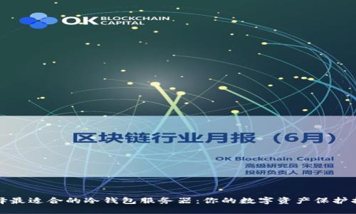 选择最适合的冷钱包服务器：你的数字资产保护指南