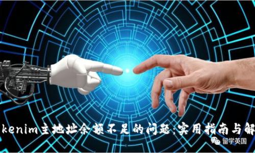 解决Tokenim主地址余额不足的问题：实用指南与解决方案