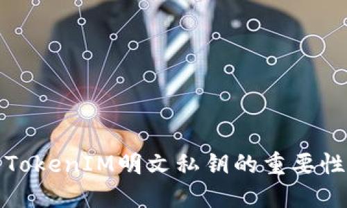 深入了解TokenIM明文私钥的重要性与安全性