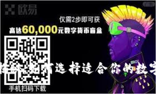 冷钱包的价格揭秘:如何选择适合你的数字货币存储方案