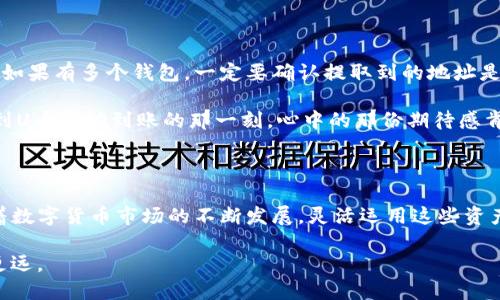   如何将Tokenim带宽成功转换为U币？ / 

 guanjianci Tokenim, 带宽, 转换, U币, 数字货币 /guanjianci 

前言：探索Tokenim与U币的关系

在当今数字货币的世界里，Tokenim作为一种新兴的数字资产，逐渐受到人们的关注。而在这场数字资产的盛宴中，U币作为一种广泛使用的数字货币，更是让许多投资者趋之若鹜。那么，如何将Tokenim的带宽转换为U币呢？本文将为大家带来详细的解析和实用指南。

了解Tokenim和U币：

在深入转换流程之前，首先我们要对Tokenim和U币有一个基础的了解。Tokenim带宽是指在Tokenim平台上进行交易时所需的网络资源，这通常与平台的使用频率和用户活跃度密切相关。而U币则是一种稳定的数字货币，广泛用于多种交易和投资场景。

Tokenim的带宽和U币的关系主要体现在以下几个方面：带宽的多少可能会影响用户在Tokenim平台上的交易效率，而高效的交易又能带来更好的投资收益。因此，掌握如何将Tokenim带宽转换为U币，便显得尤为重要。

准备工作：确保你拥有足够的Tokenim带宽

想要进行转换，首先你必须确保自己的Tokenim账户中有足够的带宽。这是一个基础的要求，因为没有足够的带宽，就无法进行后续的交易和转换。

使用Tokenim带宽的用户可在其账户中查看当前的带宽余额，通常情况下，带宽会随着交易频率的增加而消耗，所以在进行转换之前，一定要确认自己的带宽还剩多少。

步骤一：选择合适的交易平台

接下来，你需要寻找一个支持Tokenim带宽转换为U币的交易平台。这是一个关键的步骤，因为并不是所有的平台都提供这样的服务。推荐选择一些主流的交易所，这样安全性和便利性都会相对较高。

在选择交易平台时，可以考虑以下几点：

ul
    li平台的知名度与用户评价：选择那些用户口碑较好的平台，能保证你的资产安全。/li
    li手续费：不同平台对于带宽转换的手续费可能差异较大，要提前了解清楚。/li
    li操作指南：平台是否提供清晰的操作指南和客户支持，这对新手用户尤为重要。/li
/ul

步骤二：创建账户并进行身份验证

在选定交易平台后，接下来你需要创建一个账户。如果你已经有了账户，那就可以直接进入下一步。通常，账户创建过后还需要完成身份验证，这是为了确保安全性，防止洗钱和其他非法操作。

身份验证的具体要求因平台而异，可能需要你提交身份证明、住址证明等。通过验证后，你的账户才能够顺利进行后续的操作。

步骤三：进行Tokenim带宽的交易

完成身份验证后，接下来便可以在交易平台上进行带宽的交易了。你需要找到对应的交易对（Tokenim/USDT或Tokenim/U币），然后选择你的交易数量。

在这里要提醒一下，不同平台的操作界面可能会有所不同，但一般流程都是类似的。务必要认真检查你输入的交易数量，确保不会输入错误。

步骤四：提取U币到你的钱包

当Tokenim带宽成功转换为U币后，最后一步就是将U币提取到你的钱包。这一步同样关键，确保你的资产安全，如果有多个钱包，一定要确认提取到的地址是完全正确的。

提币的过程通常需要等待一段时间，因为区块链的确认速度会根据网络的拥堵情况而有所不同。耐心等待，看到U币成功到账的那一刻，心中的那份期待感肯定是无与伦比的。

结束语：享受数字货币带来的便捷与机会

成功将Tokenim带宽转换为U币并不是一件难事，只要你遵循上面的步骤，认真操作，就一定能够顺利完成。随着数字货币市场的不断发展，灵活运用这些资产，不仅能为我们带来投资收益，还能更好地参与到这个快速发展的新兴领域。

当然，数字货币市场的风险也是需要注意的，因此，合理控制风险、理性投资，才会让你在这个领域中走得更稳更远。