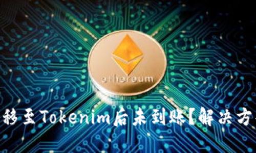 NFT转移至Tokenim后未到账？解决方案一览
