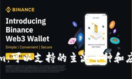 Tokenim：可以支持的主流币种和应用解析