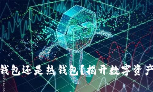 OKPay是冷钱包还是热钱包？揭开数字资产存储的真相
