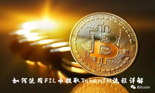 如何使用FIL币提取TokenIM流程详解