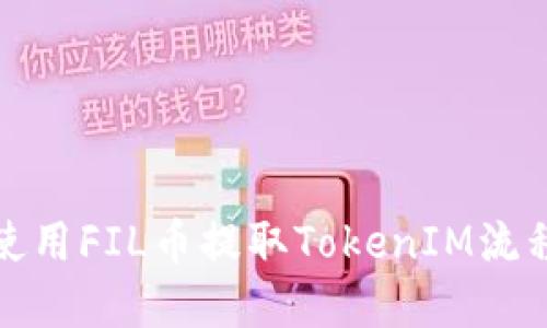 如何使用FIL币提取TokenIM流程详解