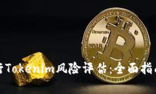 如何有效进行Tokenim风险评估：全面指南与实用技巧