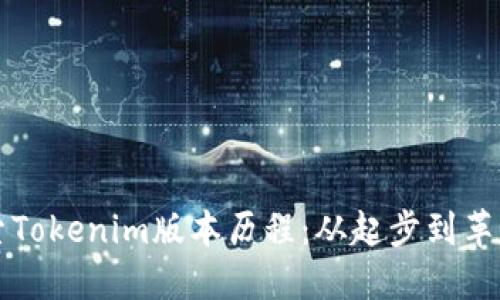 深入探索Tokenim版本历程：从起步到革新的征程