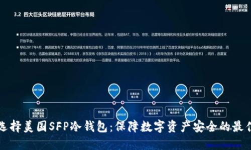 如何选择美国SFP冷钱包：保障数字资产安全的最佳实践