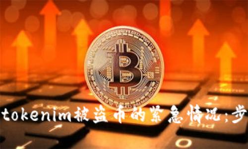 如何应对tokenim被盗币的紧急情况：步骤与建议