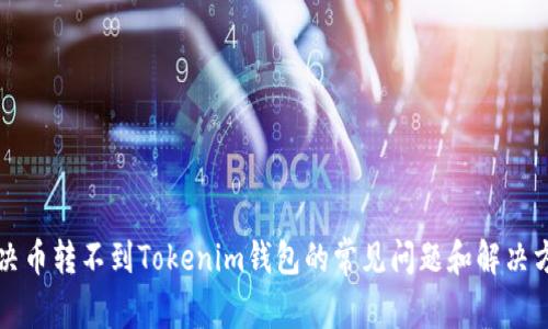 解决币转不到Tokenim钱包的常见问题和解决方法