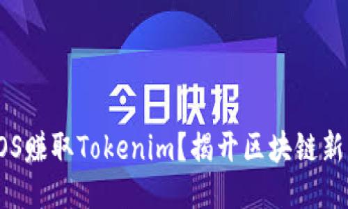 如何通过EOS赚取Tokenim?揭开区块链新机遇的面纱