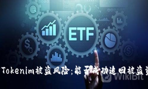 解密Tokenim被盗风险：能否成功追回被盗资产？