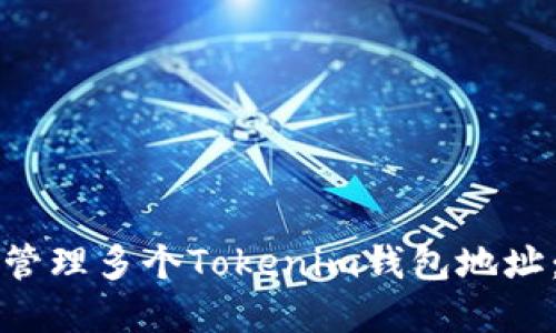 如何高效管理多个Tokenim钱包地址：实用指南