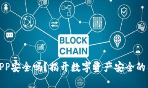 冷钱包APP安全吗?揭开数字资产安全的神秘面纱